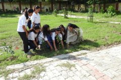Tree Plantation in collaboration with Department of Disability, Kanpur July 2023