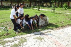 Tree Plantation in collaboration with Department of Disability, Kanpur July 2023